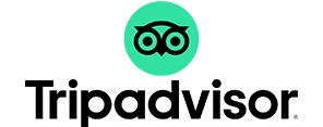 TripAdvisor Reviews