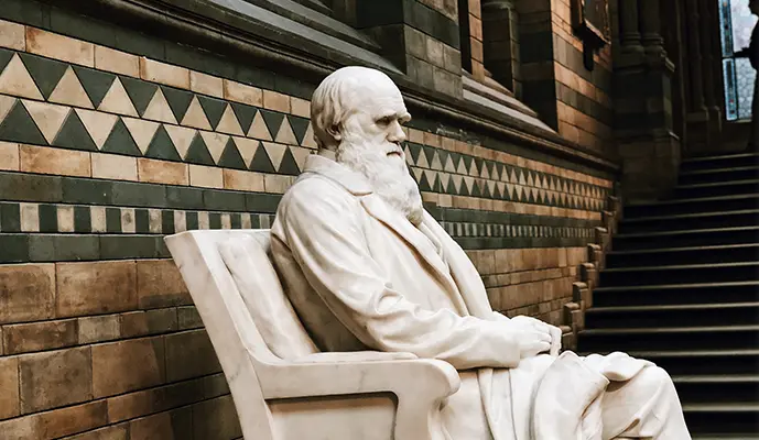 Natural History Museum of London Guided Tour - Image 2