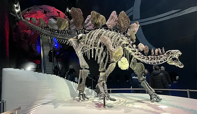 Natural History Museum of London Guided Tour - Image 3