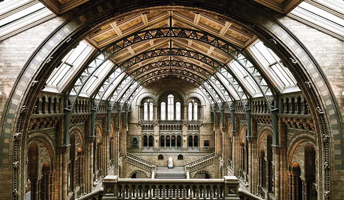 Natural History Museum of London Guided Tour - Image 5