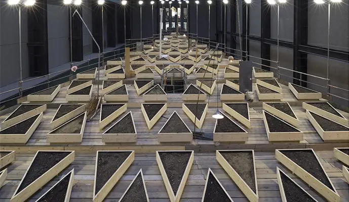 Tate Modern Museum Guided Tour - Image 5