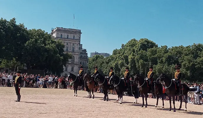 Changing of the Guard Guided Walking Tour - Image 3