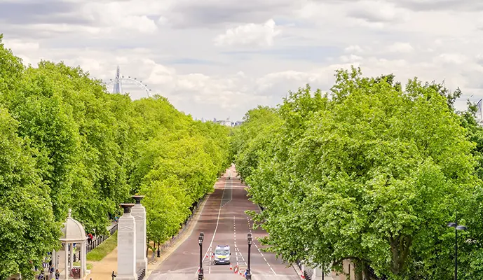 Royal Tour w/ Buckingham Palace Entry! Guided Tour - Image 2