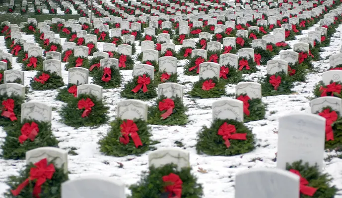Arlington Cemetery & Changing of the Guard - Guided Walking Tour - Image 2