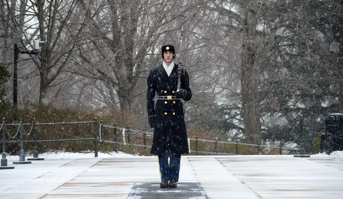 Arlington Cemetery & Changing of the Guard - Guided Walking Tour - Image 3