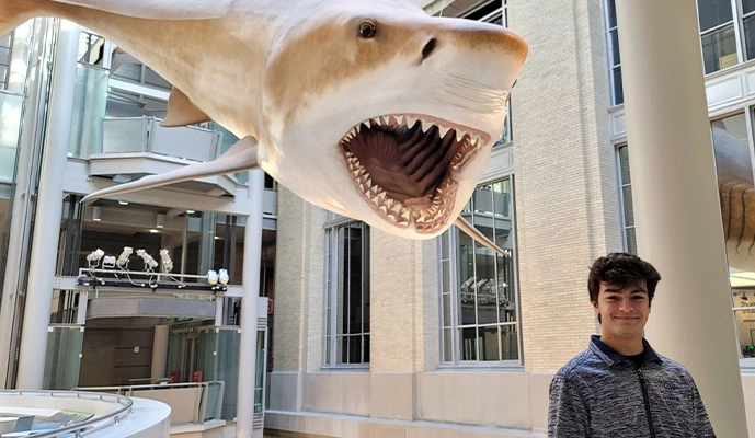 Combo: National Museum of Natural History + American History Museum - Image 3