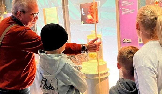 Smithsonian National Museum of Natural History Tour - Image 4