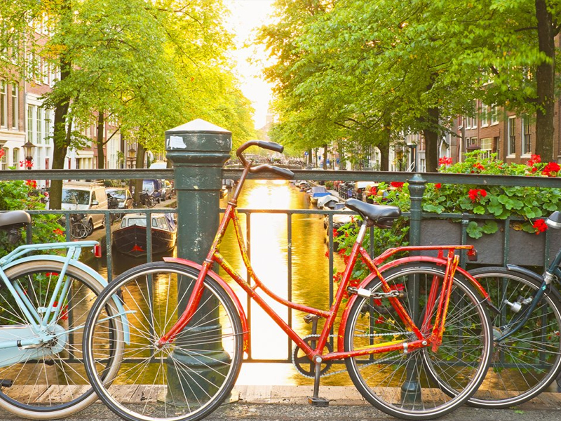 Amsterdam Beauty