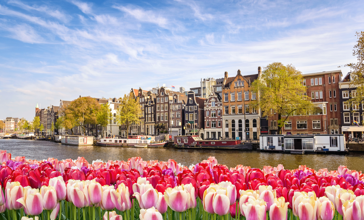 Top 5 Museums to Visit During Your Amsterdam Private Tour