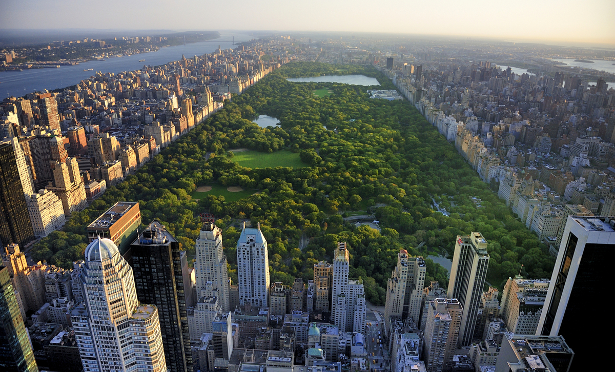 Best Outdoor Activities to Enjoy in NYC