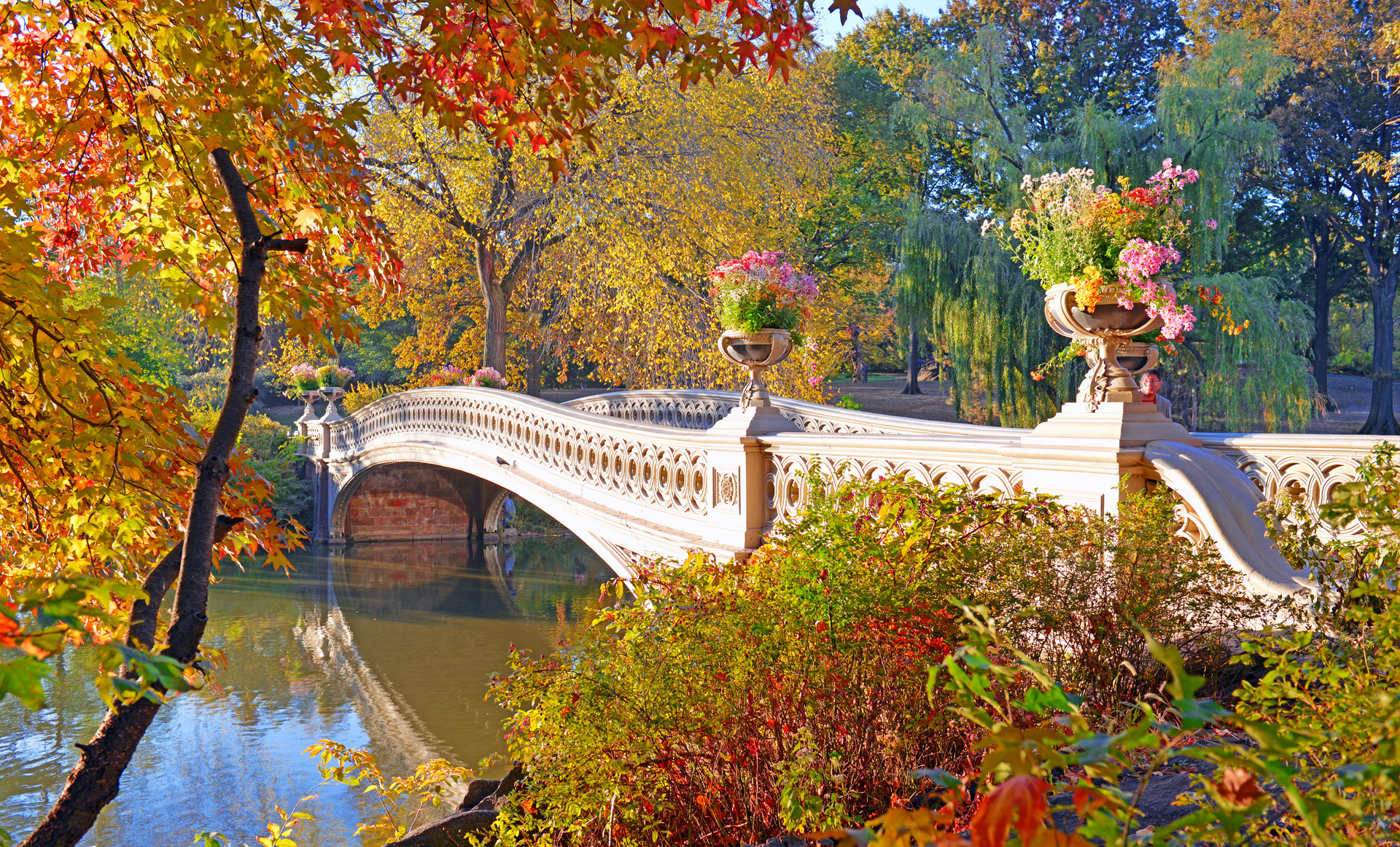 The Best Activities to Do in Central Park