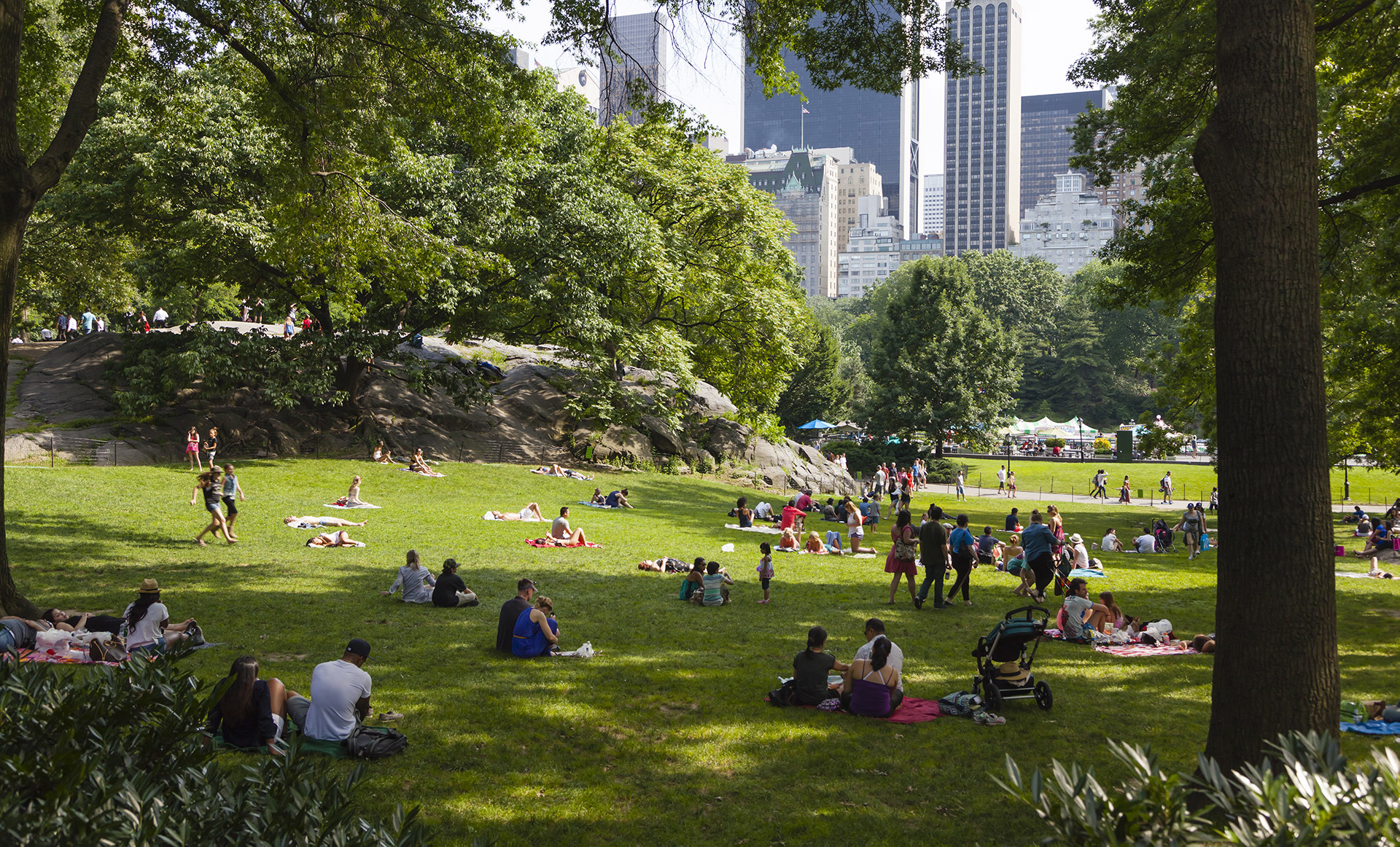 The Best Activities to Do in Central Park