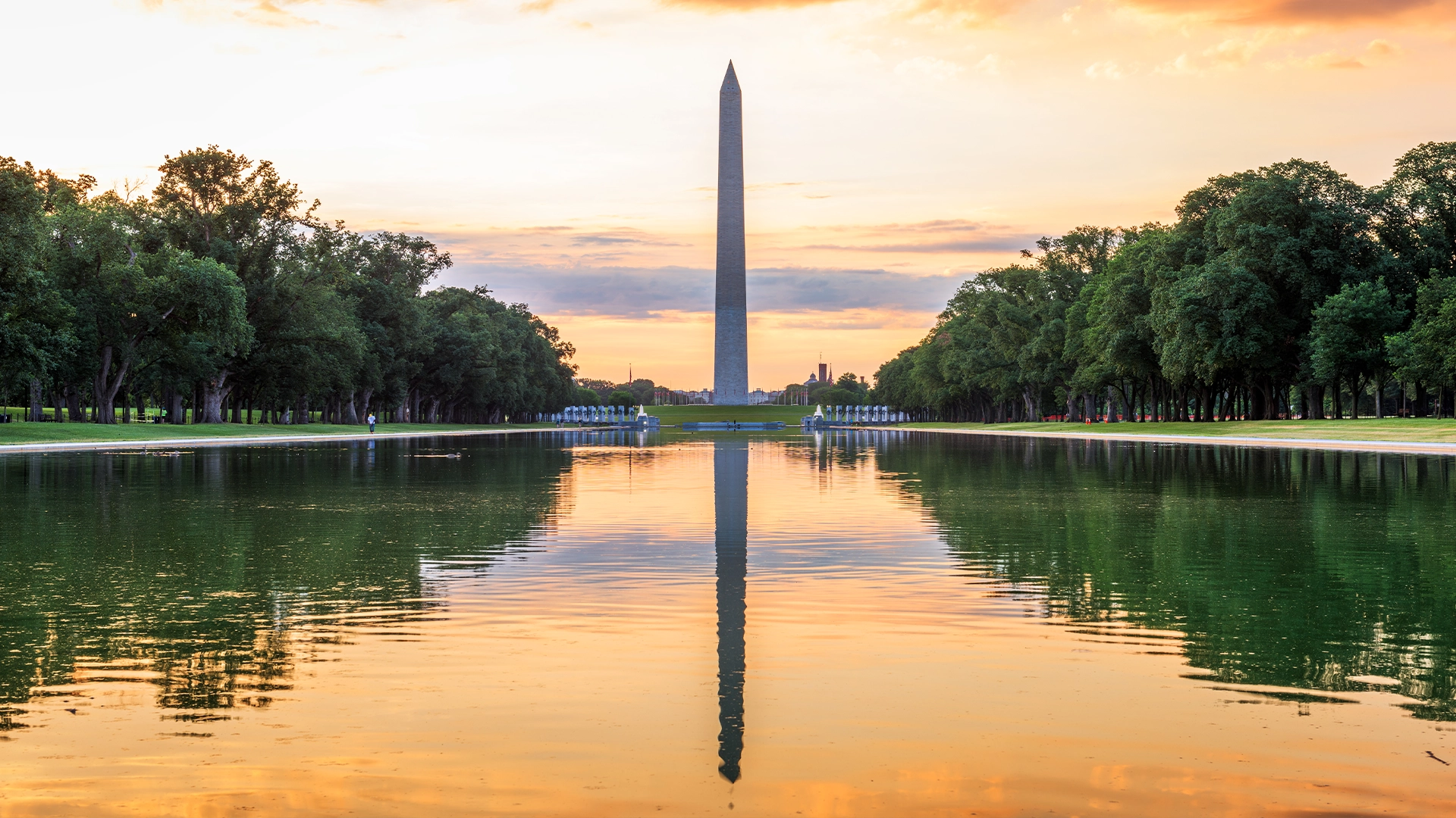 Washington D.C.