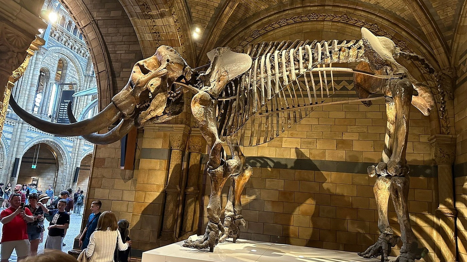 Natural History Museum of London Guided Tour