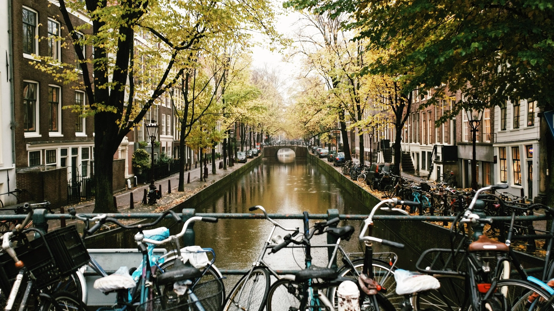 History of Amsterdam - City Center Guided Walking Tour